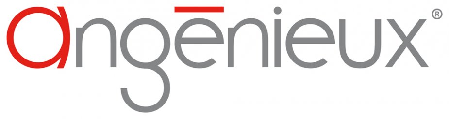 Logo de la société Thalès Angénieux