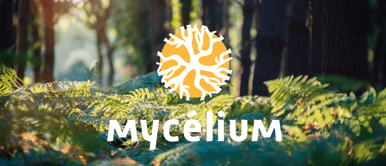 Logo Mycélium avec fond